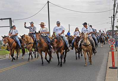 Chincoteague Wild Ponies : Personal Photo Projects : Photos : Richard Moore : Photographer